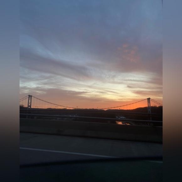 Meet your Posher, Lexi - Picture 7 of 8